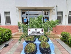 Uyu�turucu operasyonu